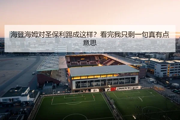 海登海姆对圣保利踢成这样？看完我只剩一句真有点意思
