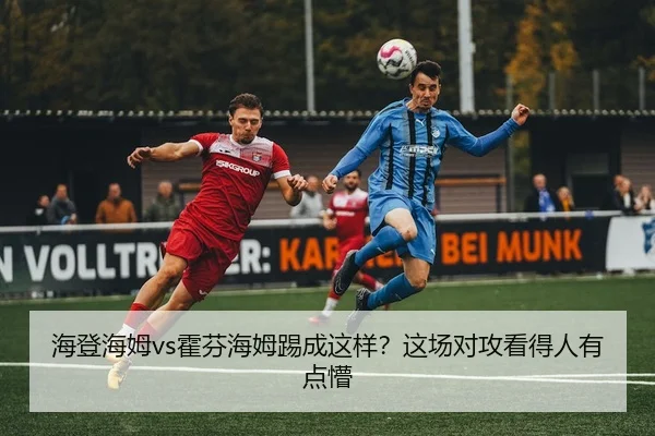 海登海姆vs霍芬海姆踢成这样？这场对攻看得人有点懵