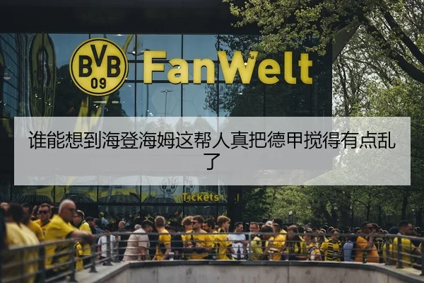 谁能想到海登海姆这帮人真把德甲搅得有点乱了 | leyu
