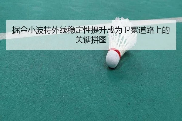 掘金小波特外线稳定性提升成为卫冕道路上的关键拼图 | leyu