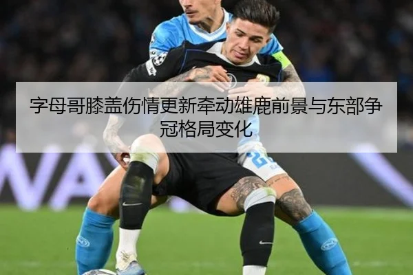 字母哥膝盖伤情更新牵动雄鹿前景与东部争冠格局变化
