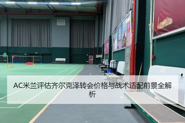 AC米兰评估齐尔克泽转会价格与战术适配前景全解析