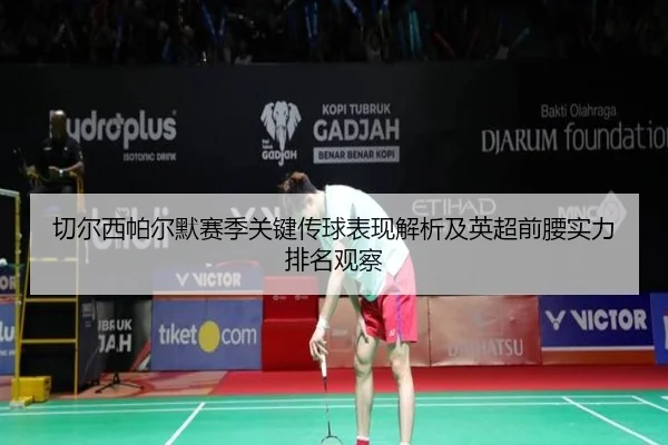 切尔西帕尔默赛季关键传球表现解析及英超前腰实力排名观察