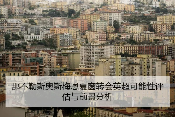 那不勒斯奥斯梅恩夏窗转会英超可能性评估与前景分析