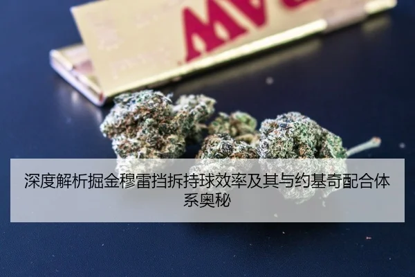 深度解析掘金穆雷挡拆持球效率及其与约基奇配合体系奥秘 | leyu